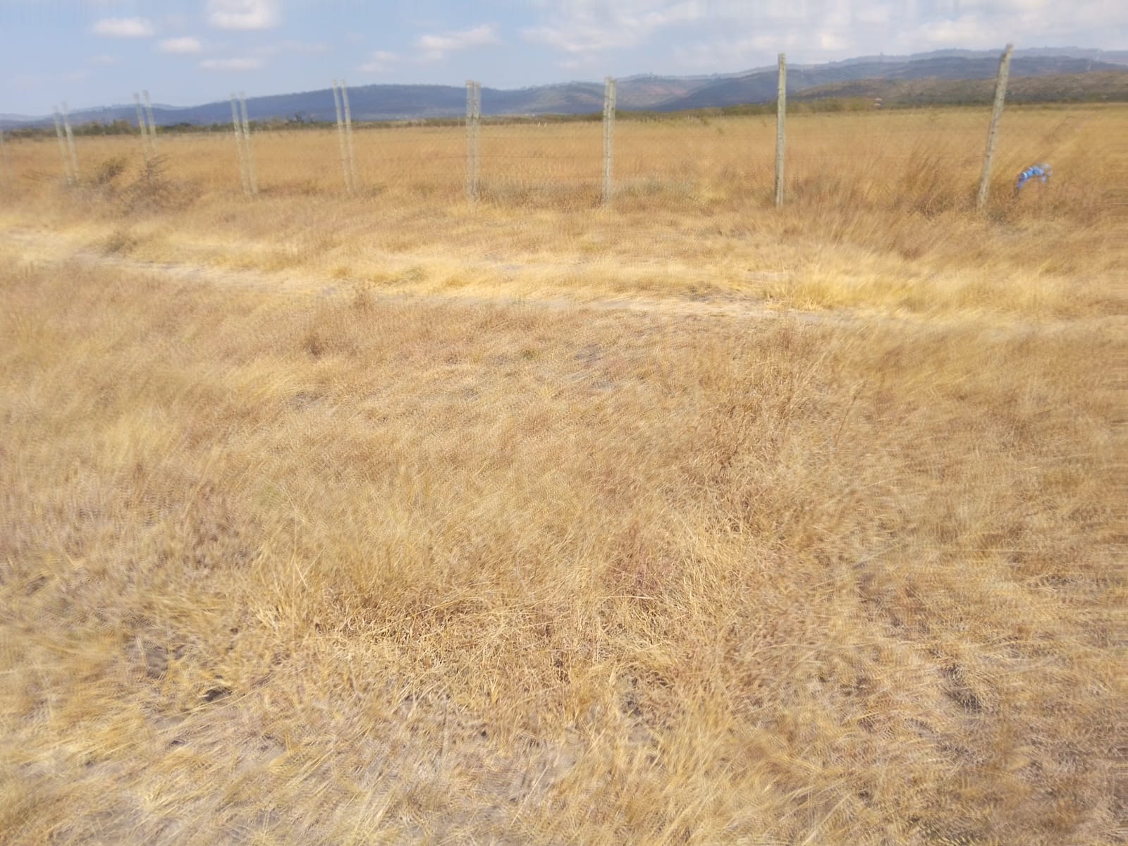 Acumen Housing land project